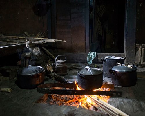 indian woman cooking traditional meal in kitchen